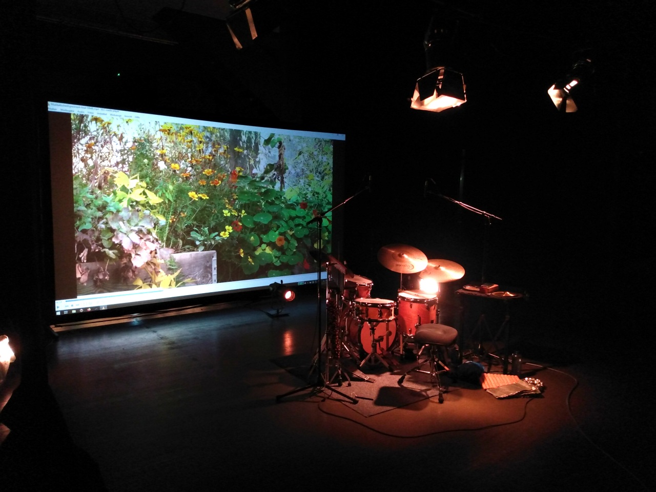 Musikalisches Experiment mit Ernst Bier Video auf Leinwand in Vorbereitung